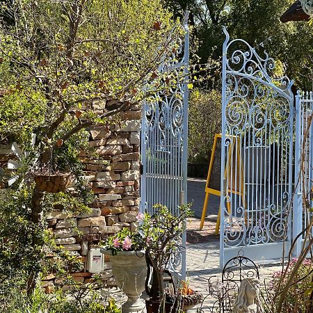 Yellow Aloe Clanwilliam Exterior photo