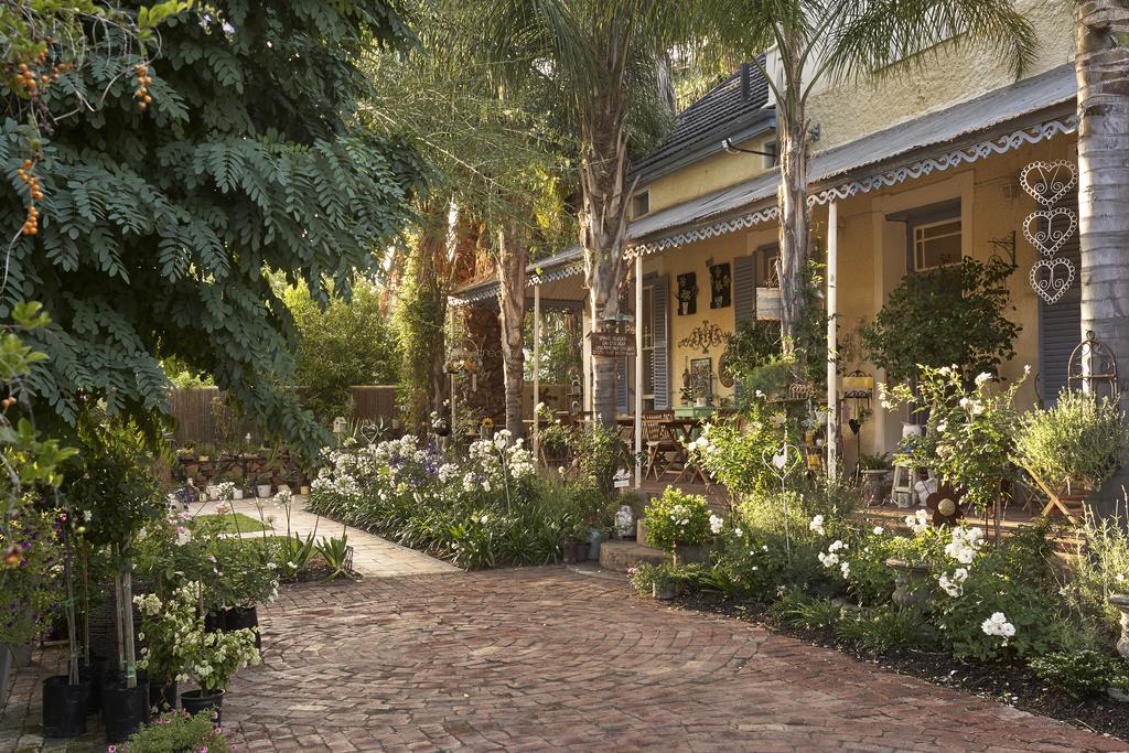Yellow Aloe Clanwilliam Exterior photo