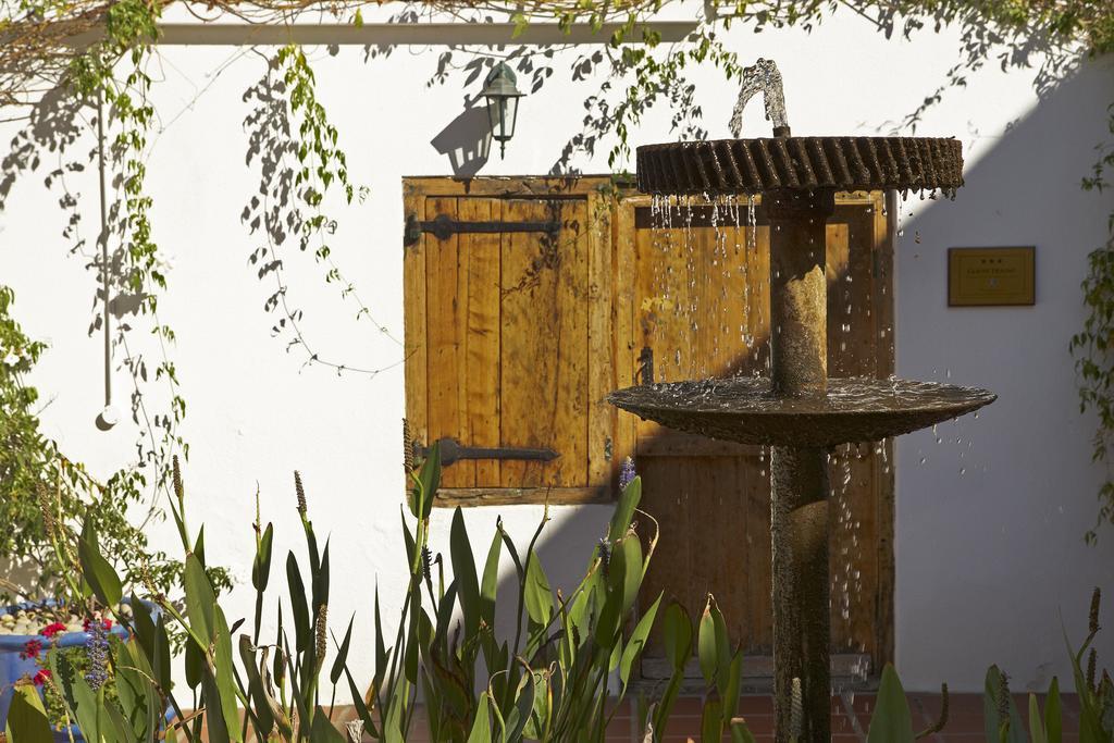 Yellow Aloe Clanwilliam Exterior photo