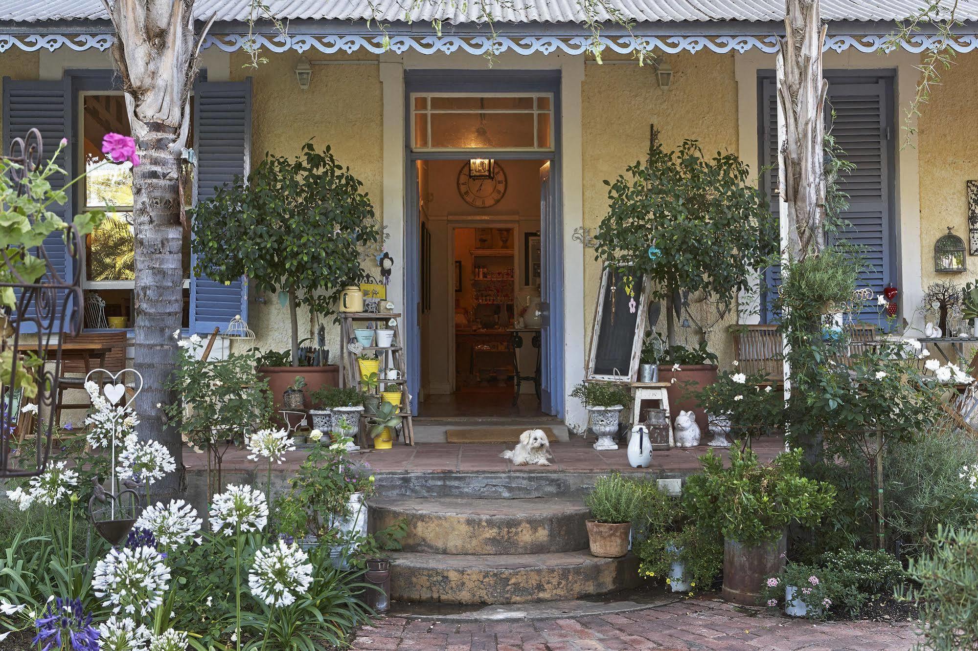 Yellow Aloe Clanwilliam Exterior photo