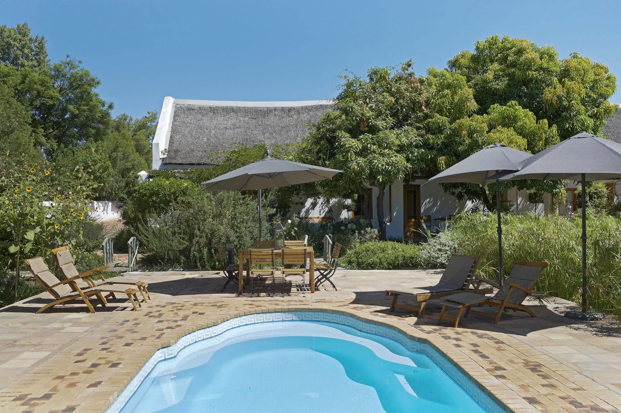 Yellow Aloe Clanwilliam Exterior photo