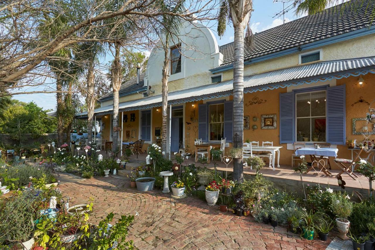 Yellow Aloe Clanwilliam Exterior photo